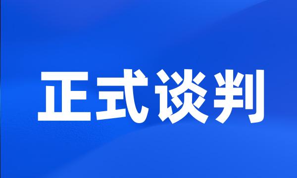 正式谈判