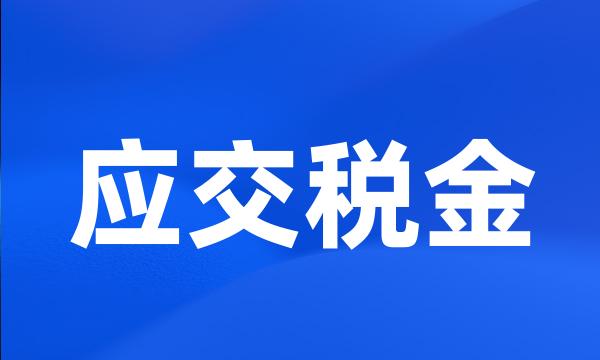 应交税金