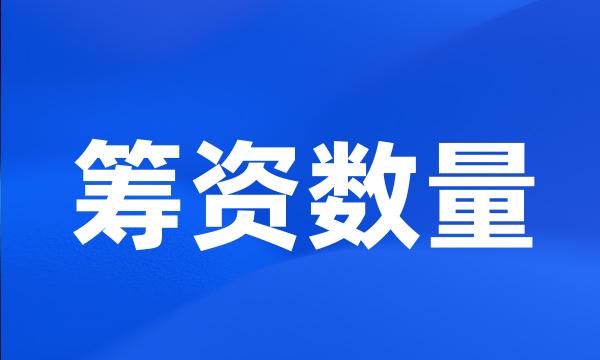 筹资数量