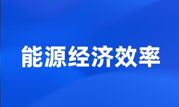 能源经济效率