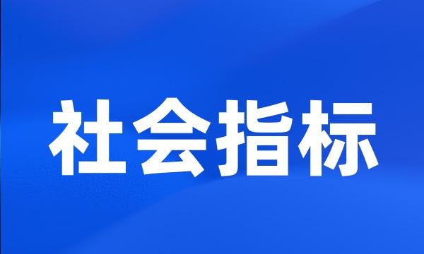 社会指标