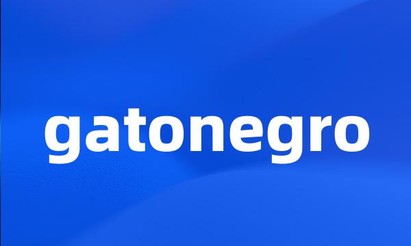 gatonegro