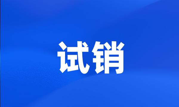 试销