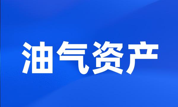 油气资产