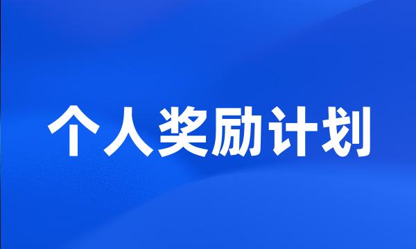 个人奖励计划