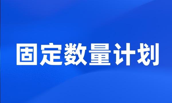 固定数量计划