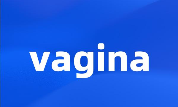 vagina