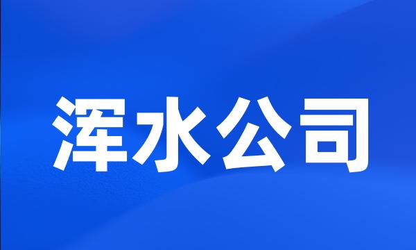 浑水公司