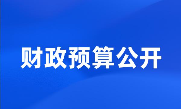 财政预算公开