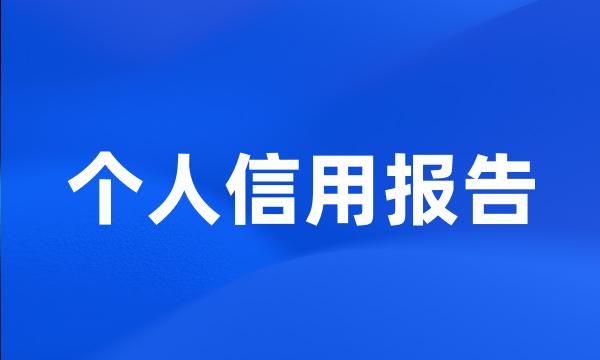 个人信用报告