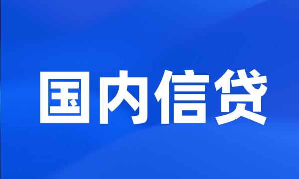 国内信贷