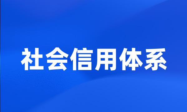 社会信用体系