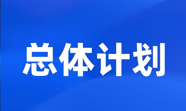 总体计划