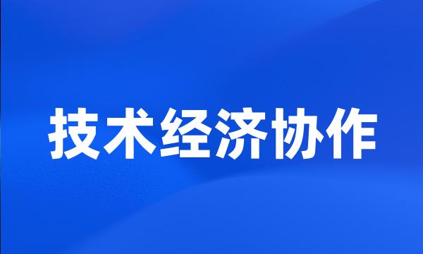 技术经济协作