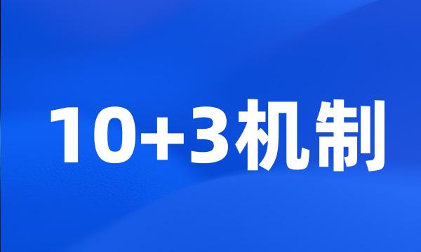 10+3机制