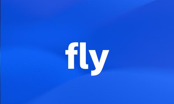 fly