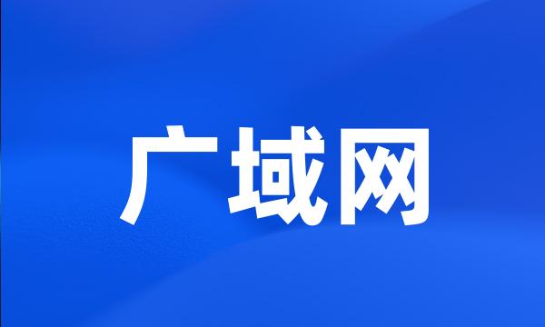 广域网