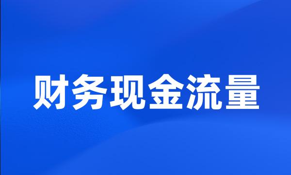 财务现金流量