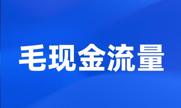 毛现金流量