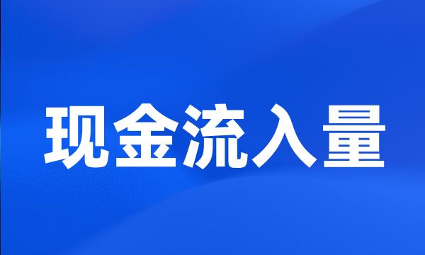 现金流入量