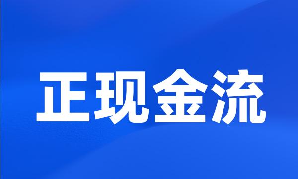 正现金流