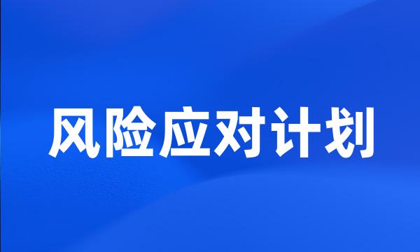 风险应对计划