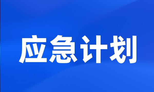 应急计划