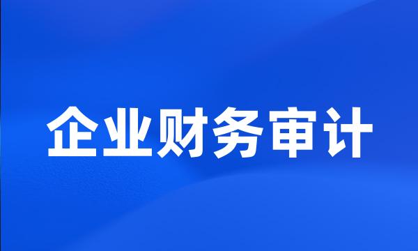 企业财务审计