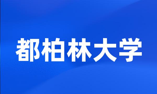 都柏林大学