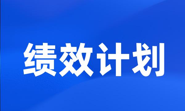 绩效计划