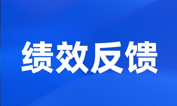 绩效反馈