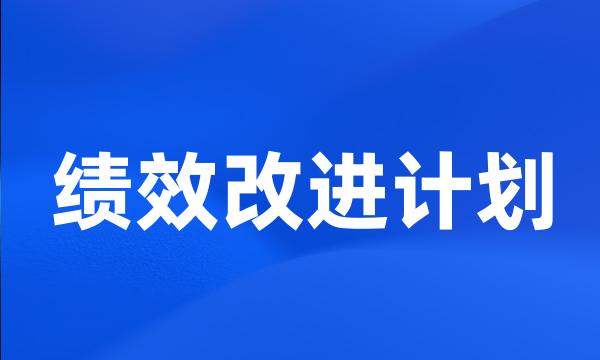 绩效改进计划