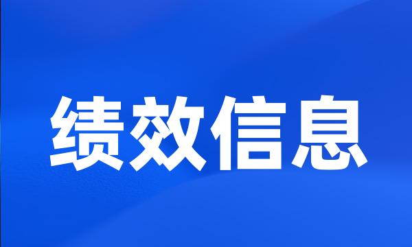 绩效信息