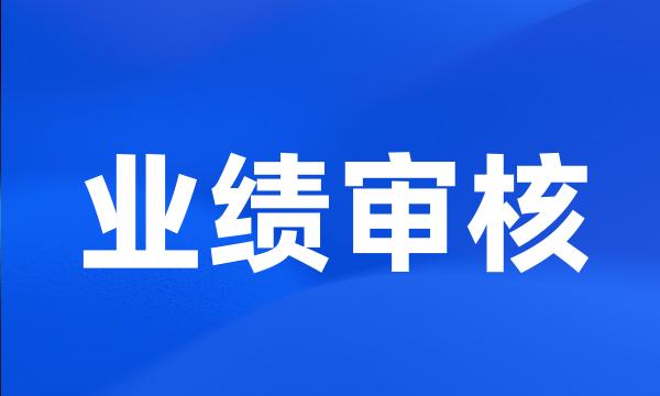 业绩审核