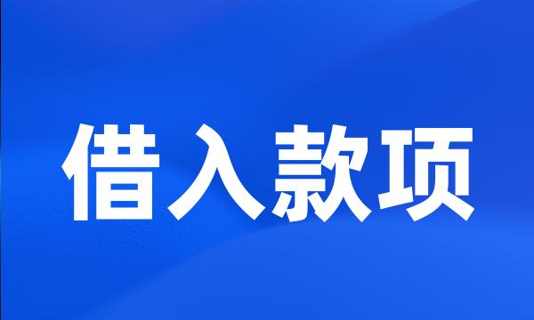 借入款项