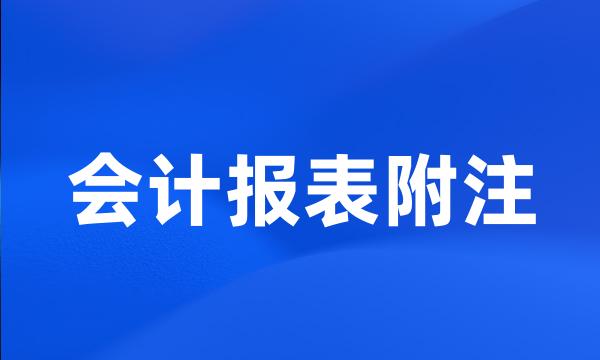 会计报表附注