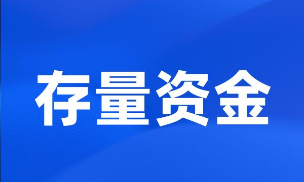 存量资金