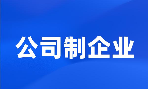 公司制企业