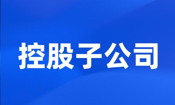 控股子公司