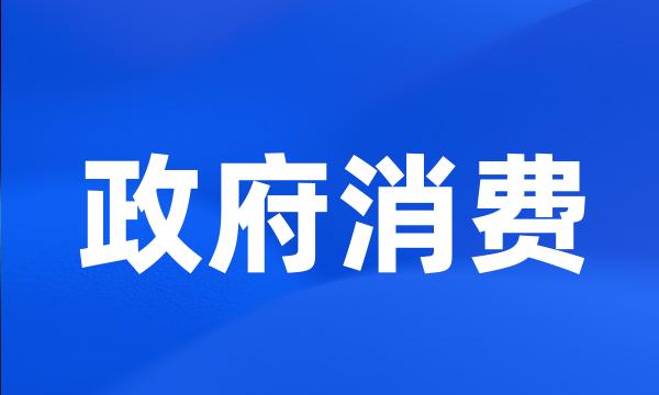 政府消费