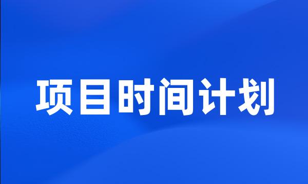 项目时间计划