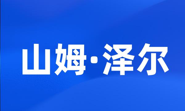 山姆·泽尔