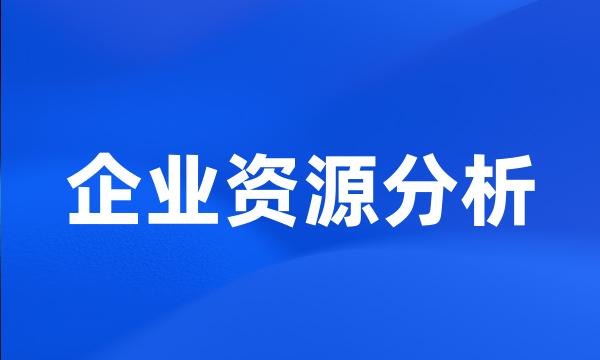 企业资源分析