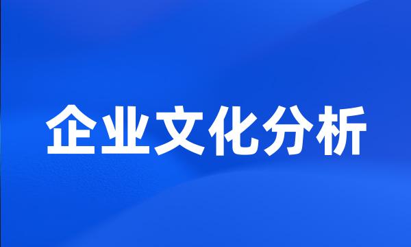 企业文化分析