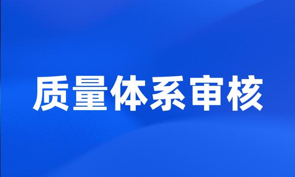 质量体系审核