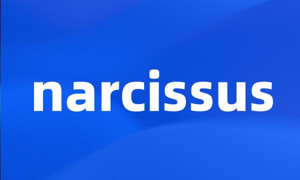 narcissus