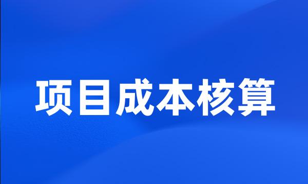 项目成本核算