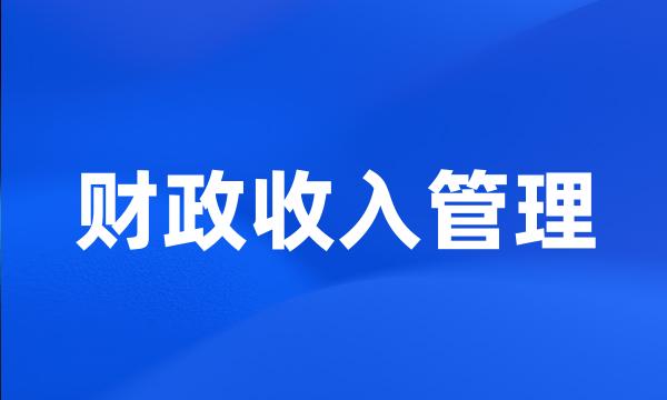 财政收入管理