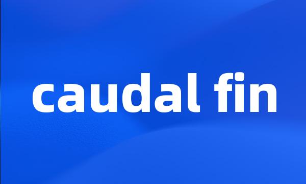 caudal fin