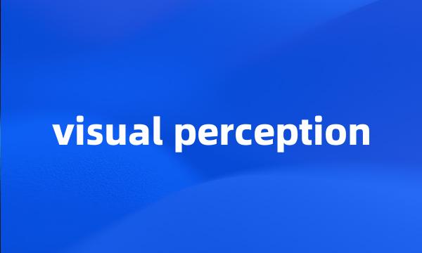 visual perception